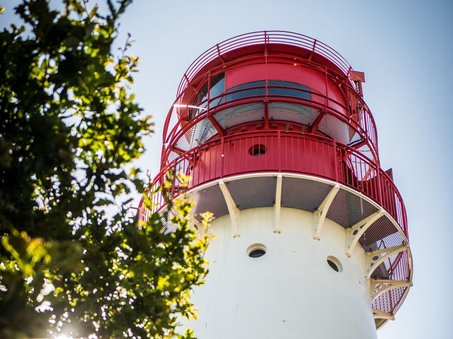 Blick auf den Leuchtturm von unten nach oben mit einem Baum im linken Vordergrund