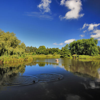 Bild vergrößern: Sie sehen hier Teich im Bürgerpark in Gelting.